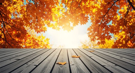 Autumnal canopy over wooden deck with bright sunlight and fallen leaves