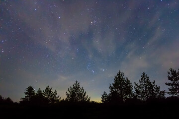Orion constellation on the night starry sky above forest silhouette