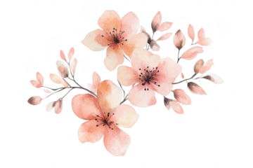A delicate arrangement of soft pink and peach watercolor flowers with gentle green leaves. set against a clean white background. ideal for use in invitations or decorative art