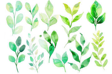 A collection of watercolor leaves in various shades of green. natural beauty and diversity. ideal for botanical illustrations or nature-themed designs