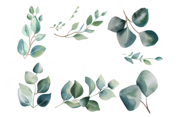 A collection of beautifully illustrated green leaves in various shapes and sizes. natural beauty and diversity. suitable for botanical designs. backgrounds. or eco-friendly themes