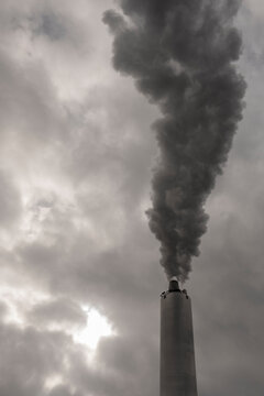 Steam moving along industry infrastructure reflects sustainability where clean energy limits emission impact, enhances efficiency practice and reinforces an environment process guiding transition.