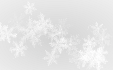 snowfall isolated. Winter background. Snow overlay. Snowflakes, ice and snow landscape.
