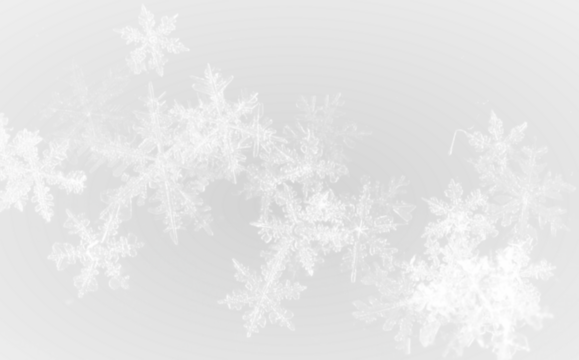 snowfall isolated. Winter background. Snow overlay. Snowflakes, ice and snow landscape.
- Powered by Adobe