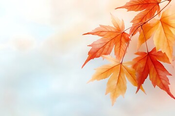 Vibrant Red and Orange Maple Leaves with Soft Background for Autumn Visuals
