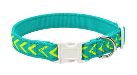 Isolated pet collar in turquoise with neon yellow accents for domestic animals safety wear