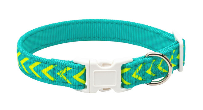 Isolated pet collar in turquoise with neon yellow accents for domestic animals safety wear