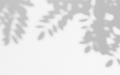 Shadow overlay blurred silhouette tree branch on a transparent background. Abstract foliage vector texture