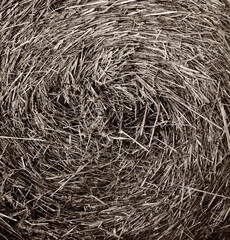 Roll of dry straw for livestock