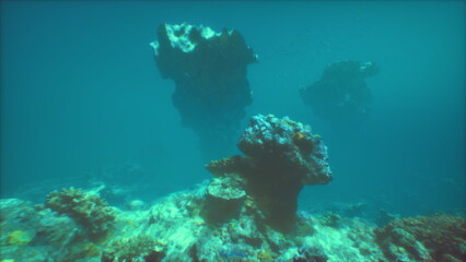Vibrant coral reefs and unique rock formations create an enchanting underwater scene. Sunlight filters through the water, illuminating the marine life below.