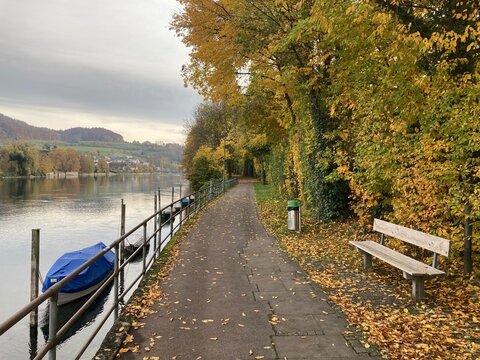 Herbstlicher Uferweg am Rhein bei Schaffhausen mit Booten, bunten B&auml;umen und ruhiger Landschaft