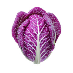 Head of purple napa cabbage isolated on transparent background