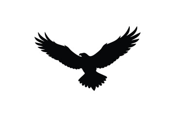 Obraz premium Flying eagle silhouette wings spread detailed outline vector