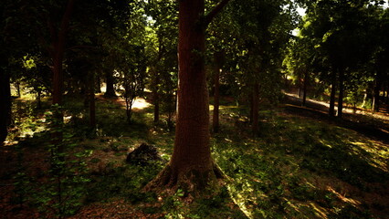 A peaceful forest clearing bathed in warm sunlight creates a tranquil atmosphere. Tall trees surround the area, casting dappled shadows on the lush green ground, inviting relaxation.