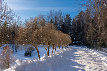 The road along the lake shore on a sunny frosty winter day