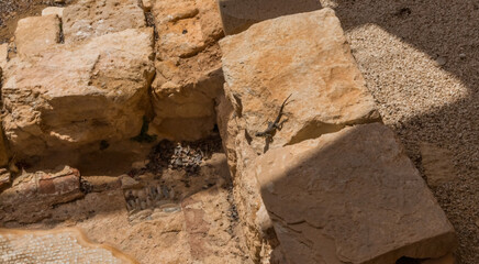  Apollo Hylates Bath Complex Ruins