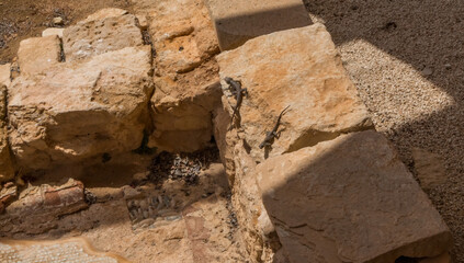  Apollo Hylates Bath Complex Ruins