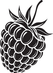 Stylized Raspberry Line Drawing &ndash; Botanical Fruit Vector with Segmented Texture and Leafy Crown