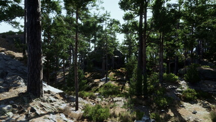 A peaceful forest scene captures the beauty of tall trees and lush greenery under clear skies. Sunlight filters through the leaves, creating a serene atmosphere perfect for adventure.