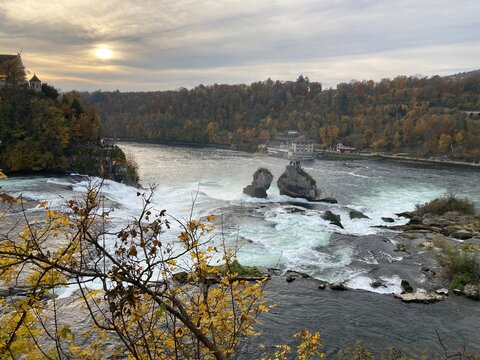 Rheinfall bei Schaffhausen mit herbstlicher Landschaft, Felsen und starkem Wasserfluss im Abendlicht