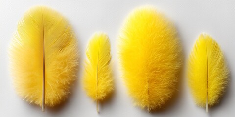 Vibrant yellow feathers of various sizes arranged artistically on a white background, showcasing texture and color diversity, perfect for creative design and artistic projects