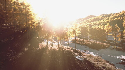 Golden rays of sunlight filter through tall trees in a peaceful forest. The vibrant colors of autumn leaves create a warm glow, illuminating the tranquil path ahead, inviting exploration.