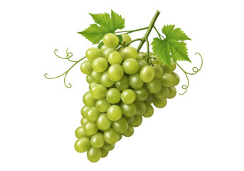 Isolated green grape bunch, fresh fruit, nature, healthy diet, raw food, sweet treat