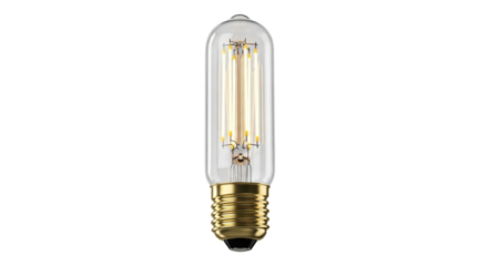 Isolated LED filament bulb, warm light source for illumination, vintage Edison bulb