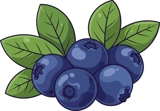 Create a Fresh blueberries with green leaves vector art with white background..

