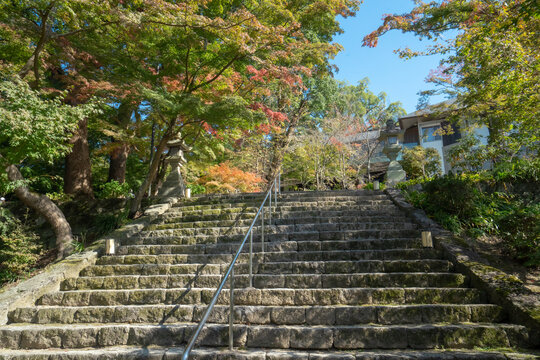 Stone steps leading upward through lush autumn foliage towards a traditional building