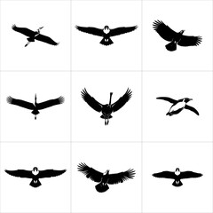 Collection of various birds in flight silhouettes isolated on white background