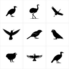 Set of diverse bird species silhouettes in black isolated on white background