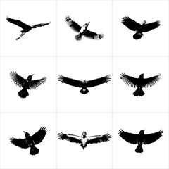 Black silhouettes of various birds in flight, isolated on white background