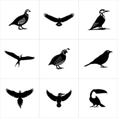 Collection of various bird silhouettes isolated on white background