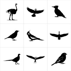 Collection of various bird silhouettes isolated on white background