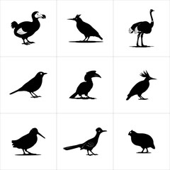 Collection of various bird silhouettes isolated on white background