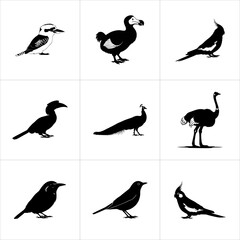 Nine different bird species silhouettes isolated on white background