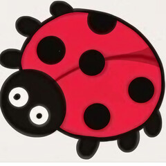 ladybug on white background