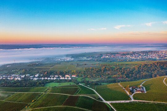 Aerial view of the vineyards near Eltville in the warm light of sunrise with the Rhine River covered with fog in the background - Powered by Adobe