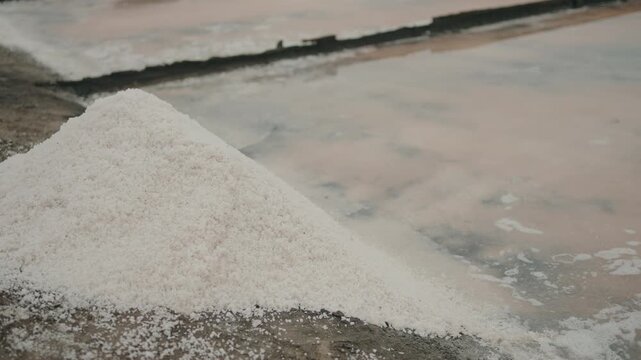 fresh salt piled beside calm salinas de aveiro waters