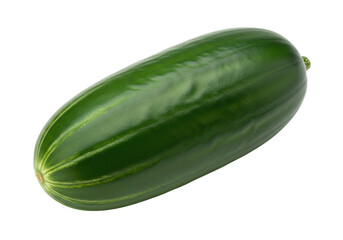 Isolated fresh cucumber, organic raw vegetable, healthy food ingredient, close-up