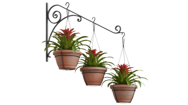 Three potted plants with red flowers hang on a metal bracket.