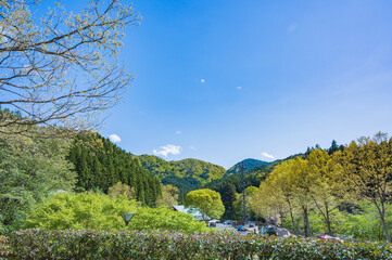4月の北茨城（花園オートキャンプ場）