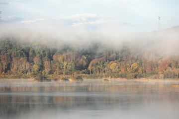 北海道当別町　水鳥がゆったりと泳ぐ湖上や色づいた木々の上方に漂う霧