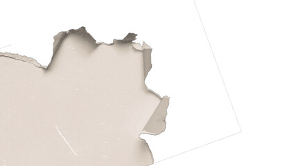 Peeled Torn Corner of White Paper Revealing a Beige Layered Surface on a Transparent Background