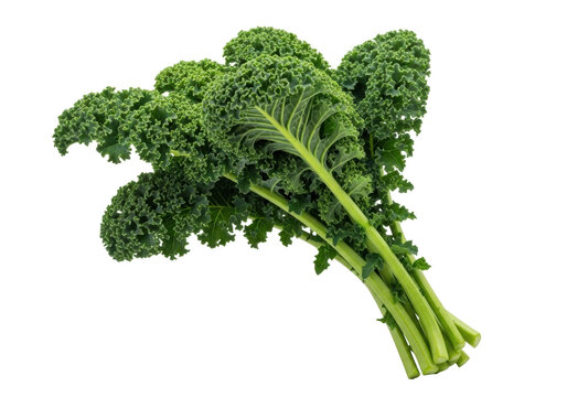 Isolated bunch of green curly kale, nutrient-rich vegetable, healthy eating choice, fresh