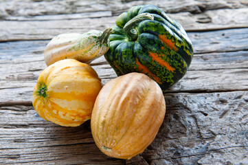Four Decorative Pumpkins on Rustic Wooden Surface