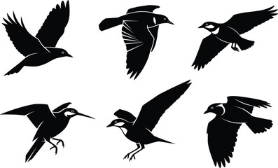 Flying bird silhouettes vector set various species swift movement wildlife nature freedom design elements black graphic