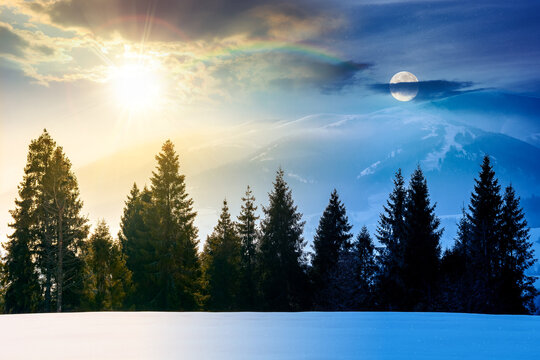 winter solstice landscape. day and night time change concept. fir trees on snow covered hill with sun and moon. place in mountains. winter wonderland background for harmony and progress calendar