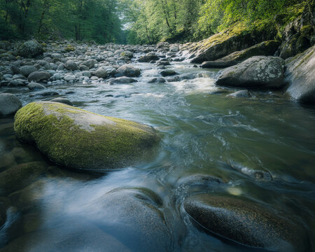 Fast flowing river water over moss covered rocks in a lush green forest setting stream